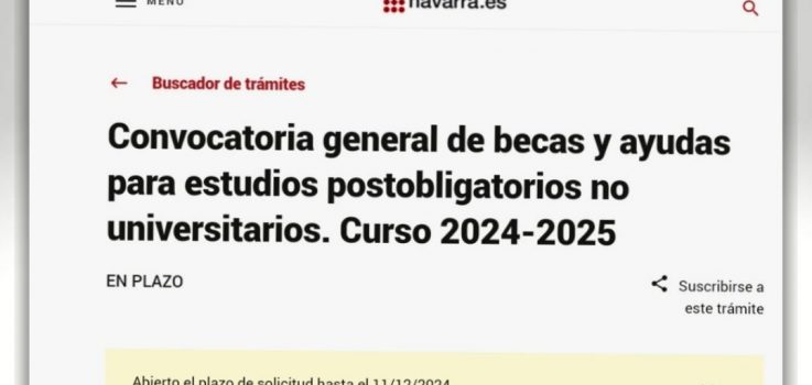 Becas y ayudas para el curso 2024/25