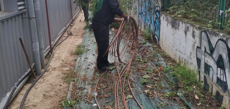 La huerta florece gracias al trabajo de 2º FMB
